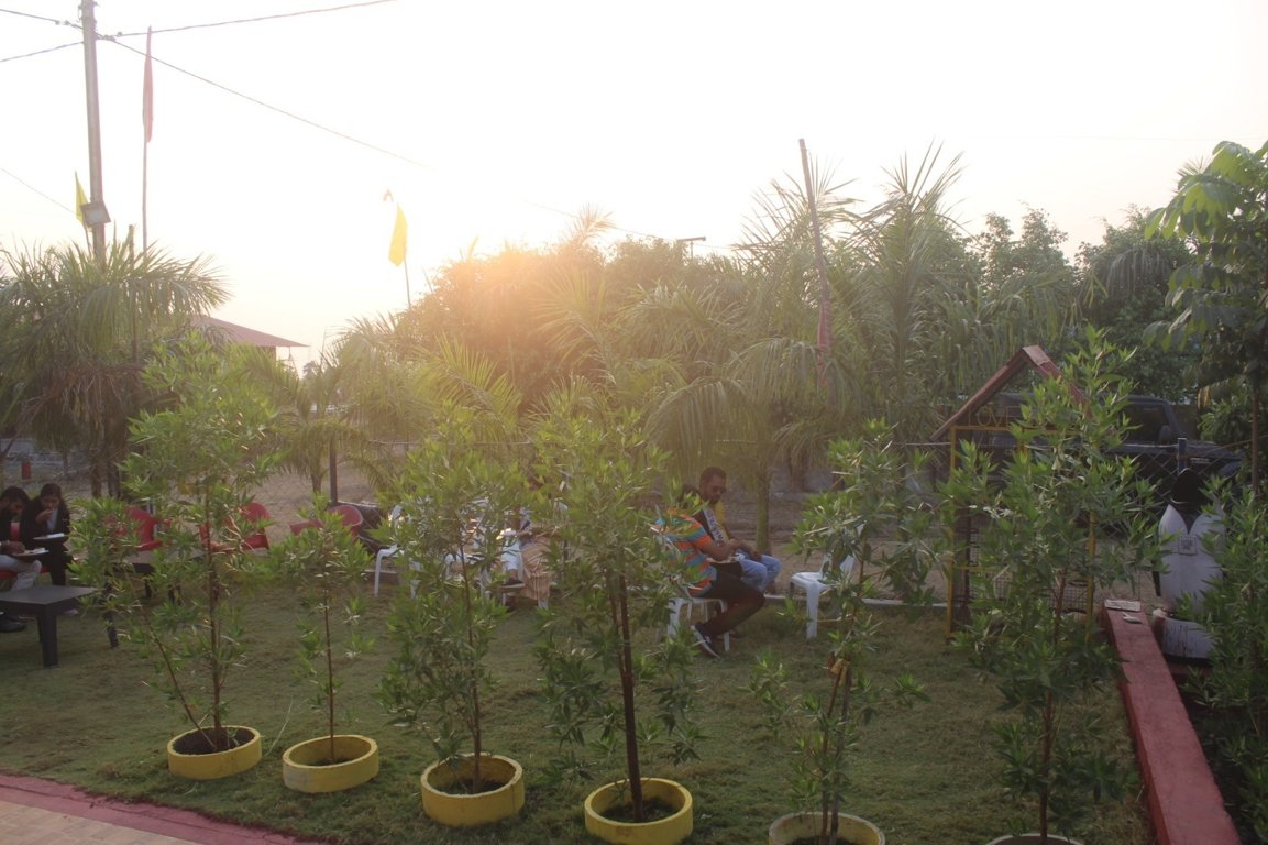  strawberry farm Plot