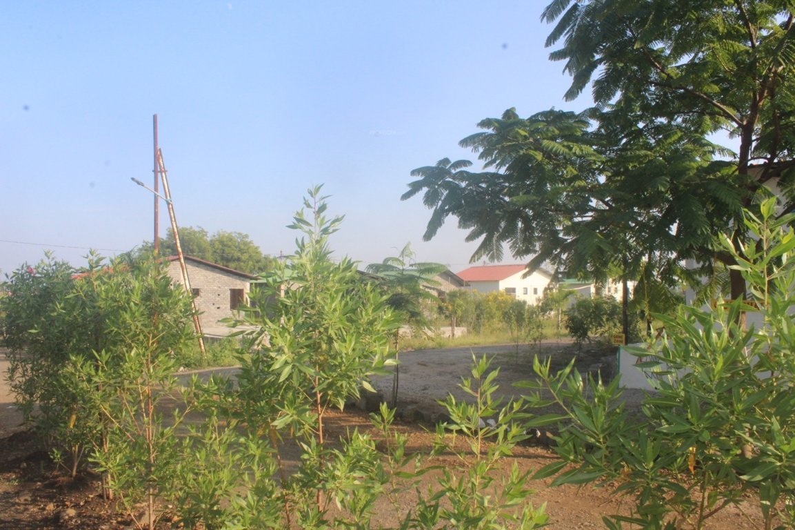  strawberry farm Plot