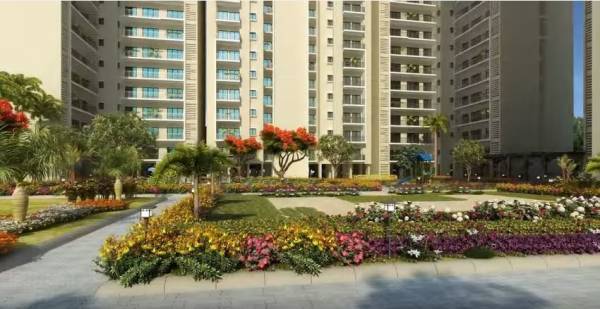 Elevation white-house-apartment Elevation