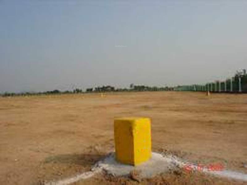  tulasi Plot