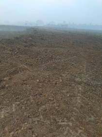  green-city Elevation