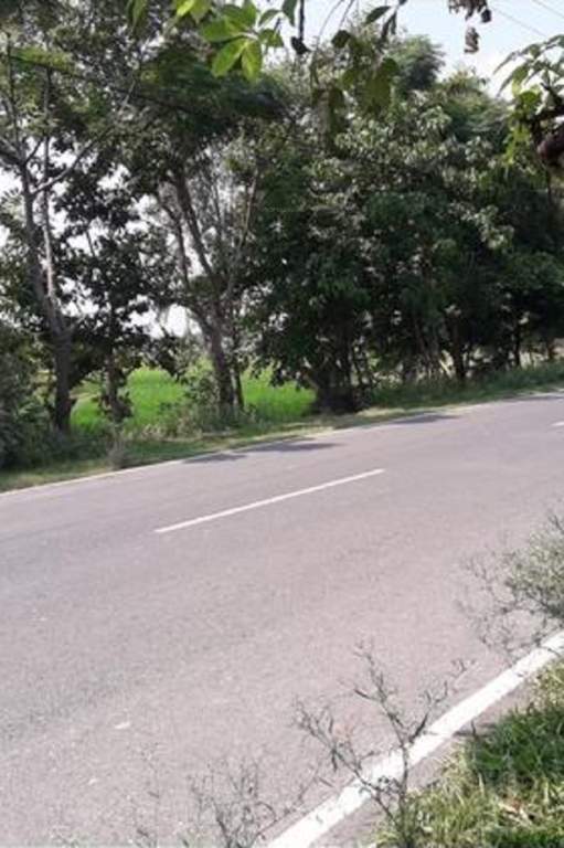 green city Internal Roads