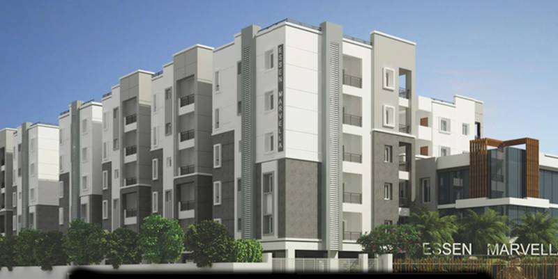  marvella Elevation