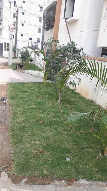  fort view apartments Landscaping & Tree Planting