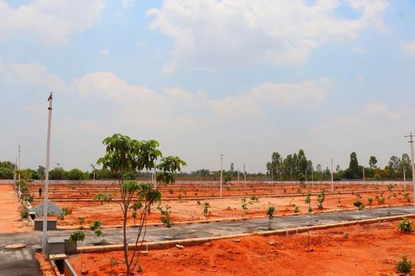 Elevation east-coast Elevation