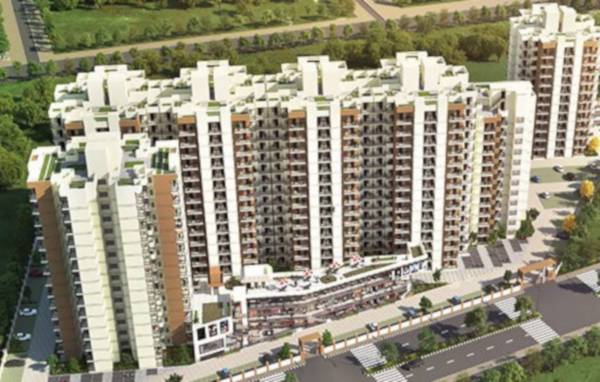  golf-green Elevation