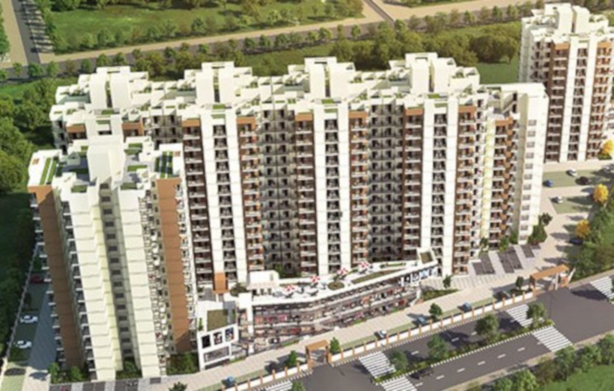  golf green Elevation