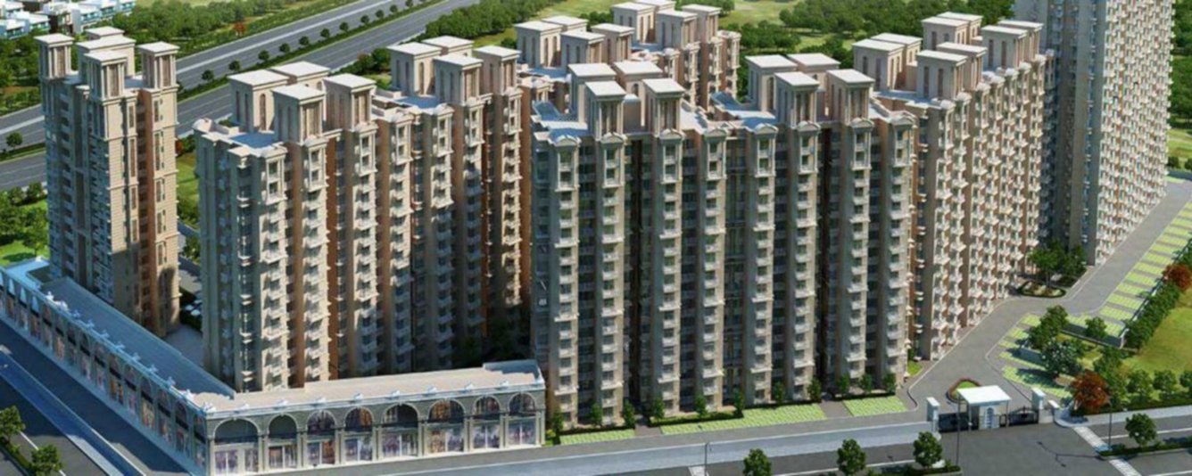  golf green Elevation