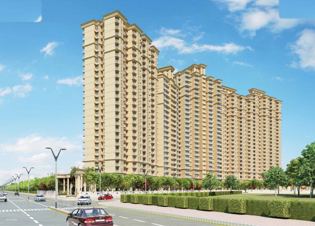  golf green Elevation