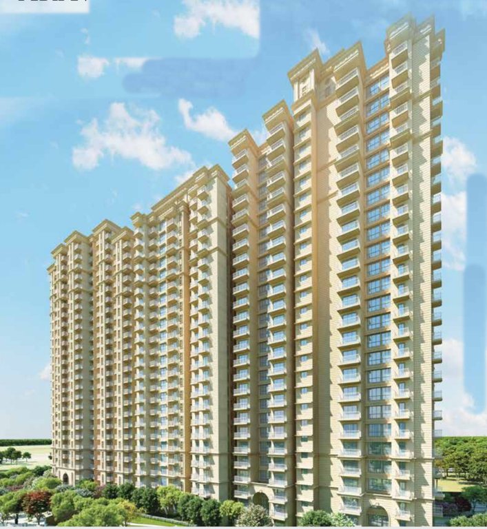  golf green Elevation