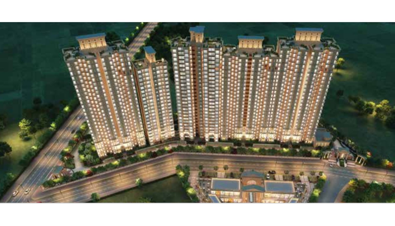  golf green Elevation