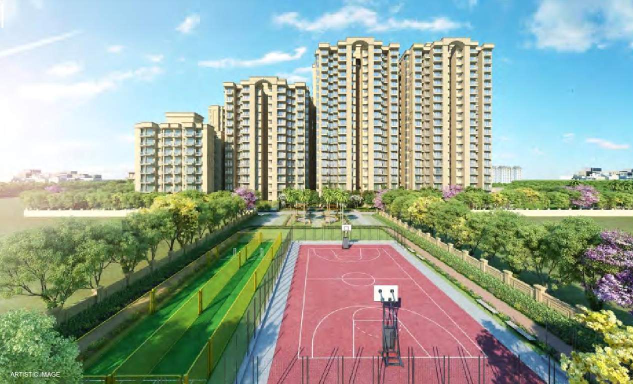  golf green Basketball Court