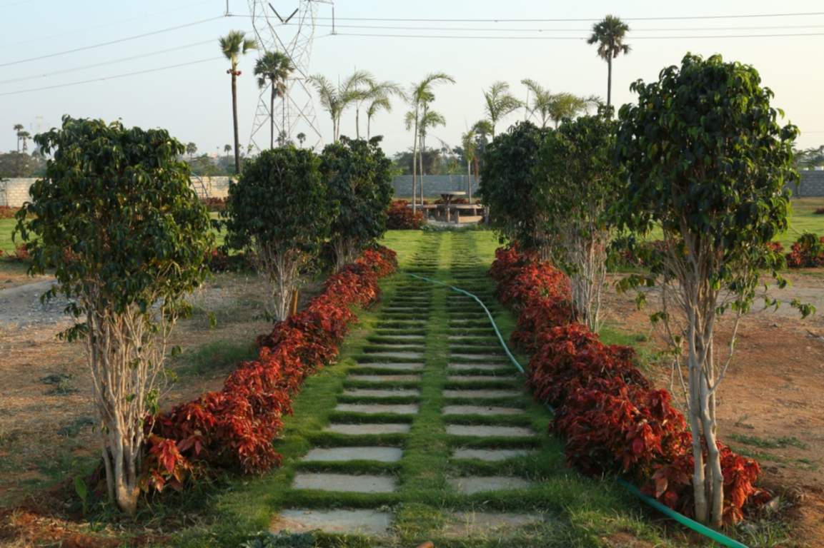  green leaf Plot