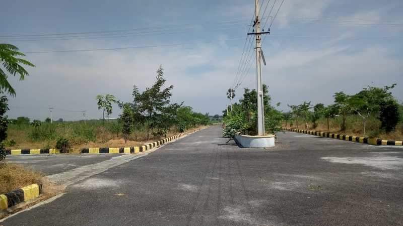  green leaf Plot
