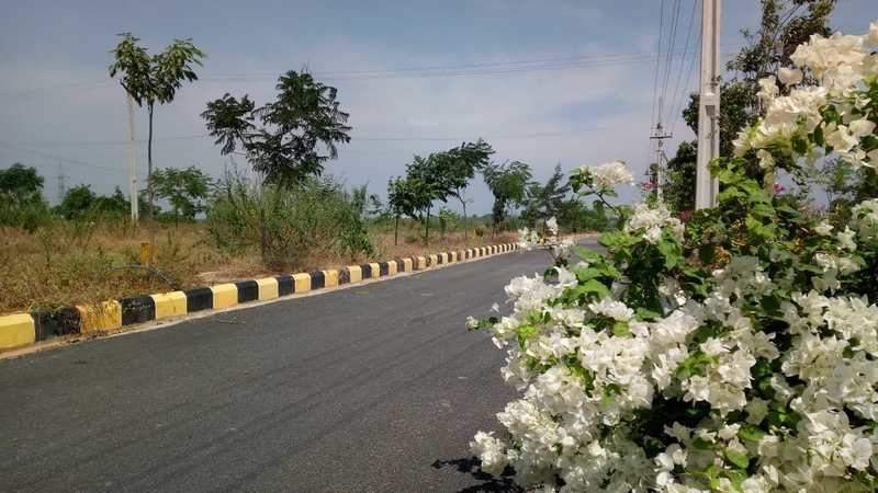  green leaf Plot