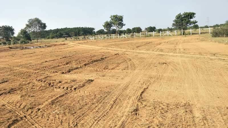  green leaf Plot