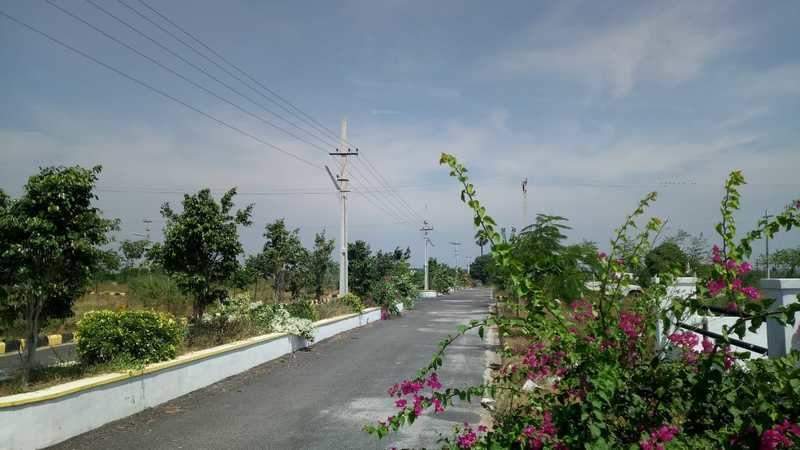  green leaf Plot