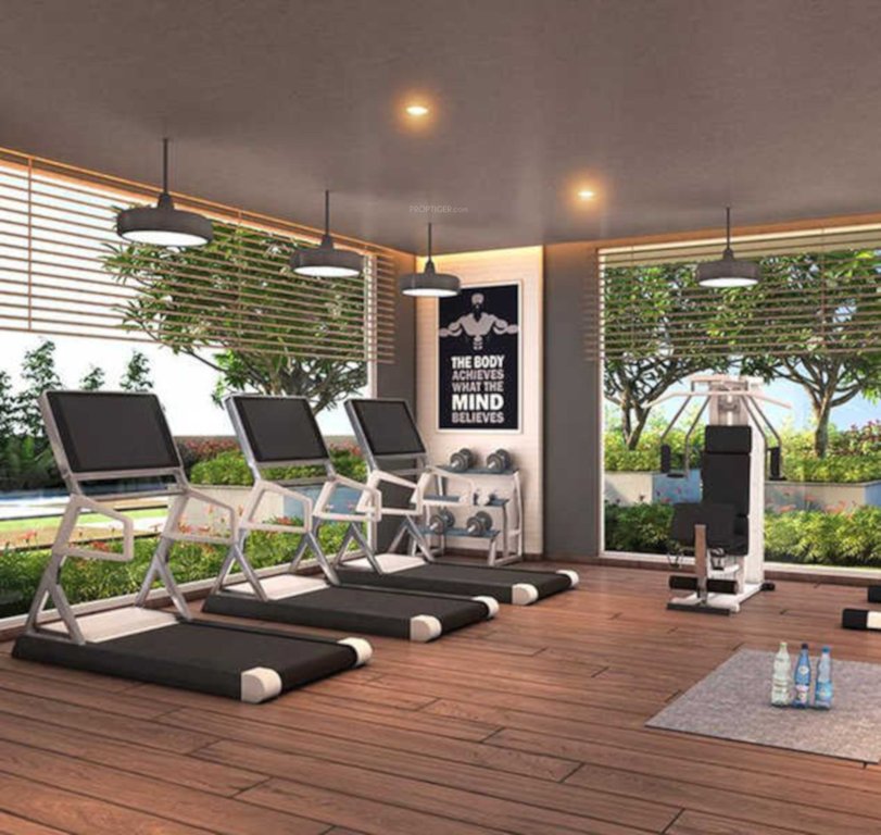  skydale phase 4 Gymnasium