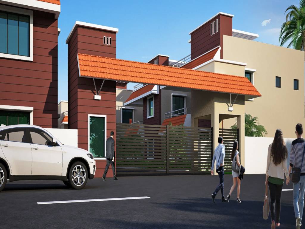  royal orchid Elevation