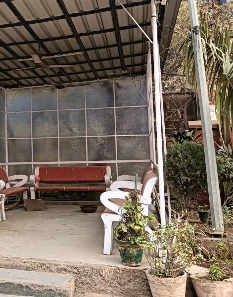 Senior Citizen Sitout e2-vasant-kunj Senior Citizen Sitout