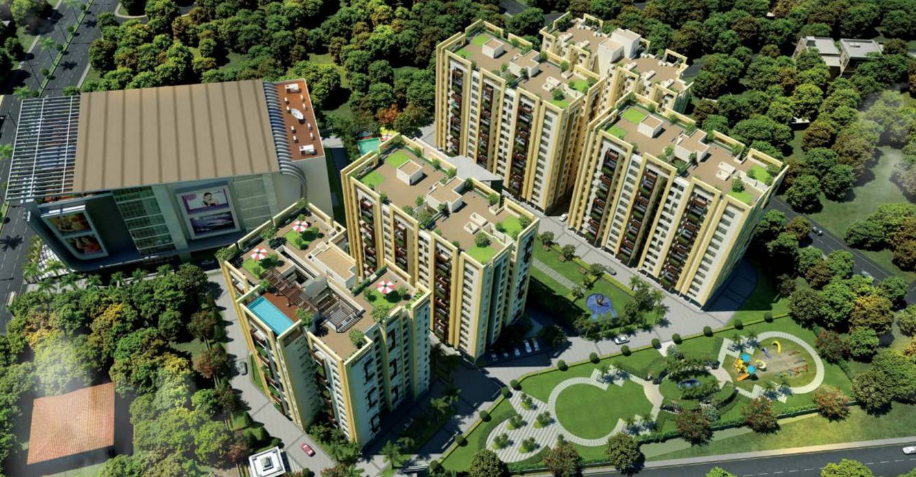Elevation golden lotus Elevation