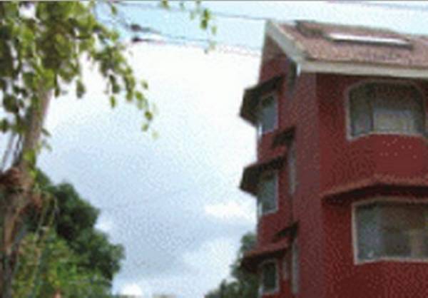  gold-woods Elevation