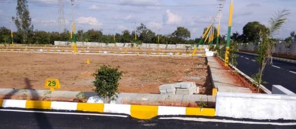 Elevation global-village Elevation