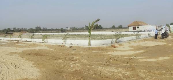  dev-puri Construction Status March-21