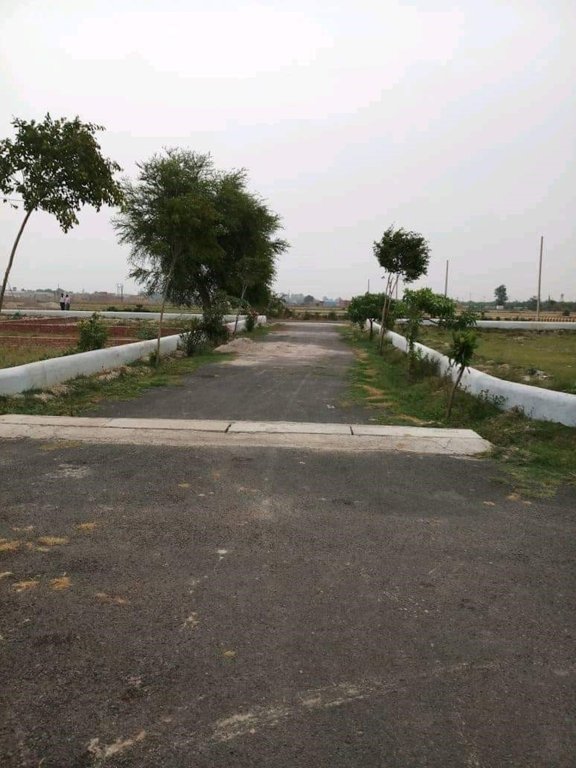  dev puri Plot