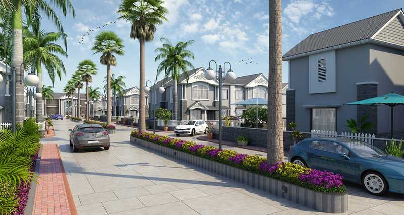 garden valley Others