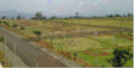 kanniyappan-nagar-the-excellentia-phase-i Elevation Elevation