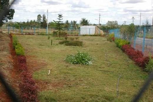 pentagon-city Elevation Elevation