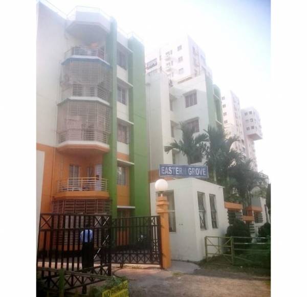 Elevation eastern-grove Elevation