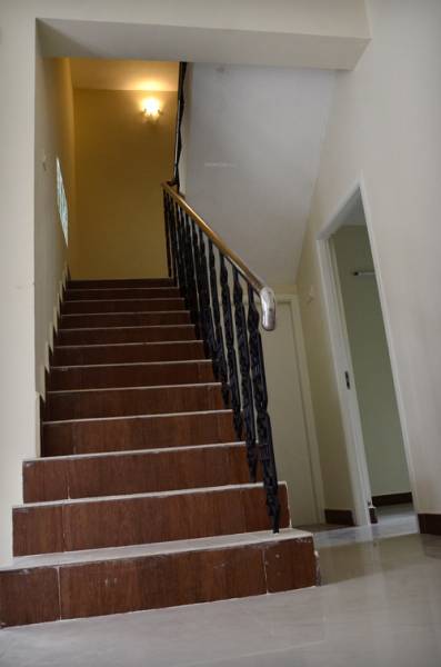  geo-positive-vibes Others