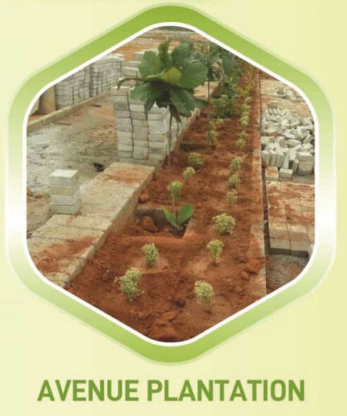  brindavan Landscaping & Tree Planting