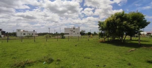  new-chennai-city Plot