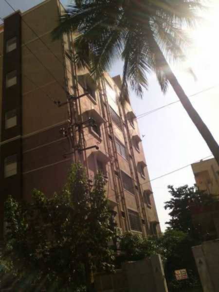  palm-grove Elevation