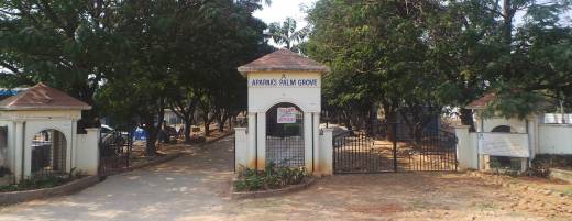 palm-grove Elevation Elevation