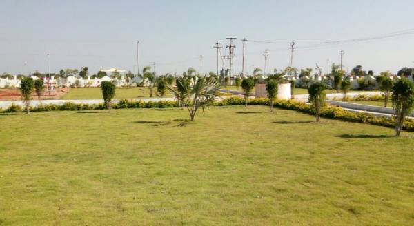  sun-city-gold-ii Plot