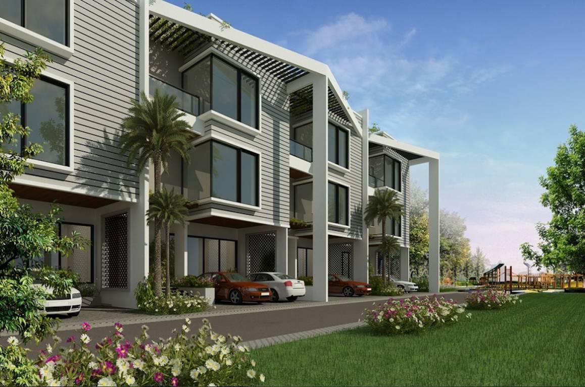  serene street Elevation