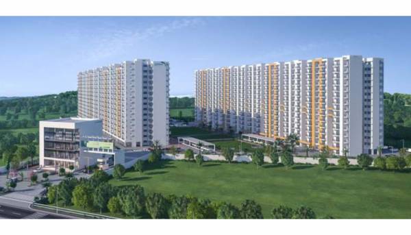 Elevation greens Elevation