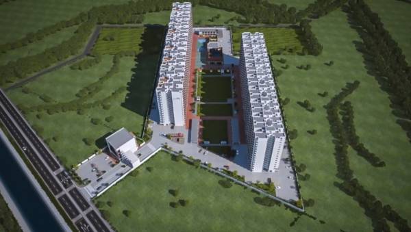 Elevation greens Elevation