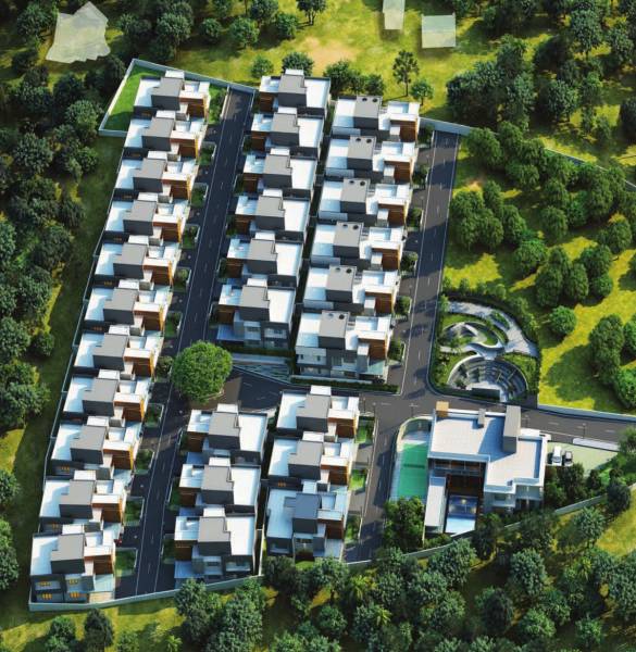  ivory-terrace Elevation