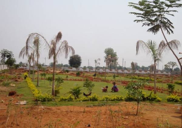  diamond-county Landscaped Gardens