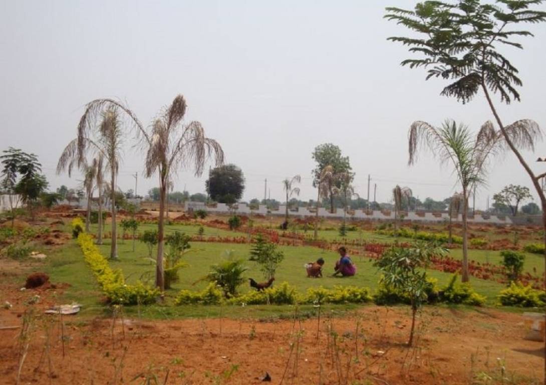  diamond county Landscaped Gardens