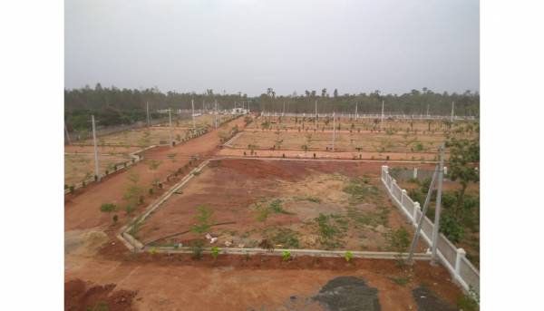 Elevation port-city Elevation