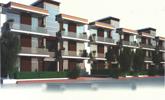 Basil Homes