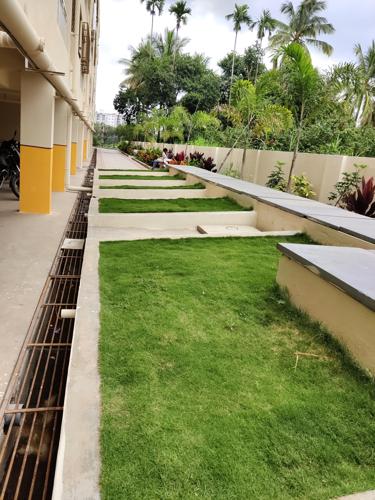  bhoomika-sunrise Landscape Garden and Tree Planting
