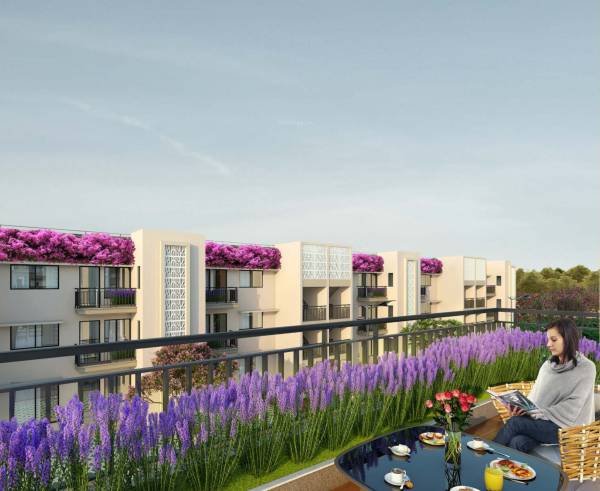  lavender-floors Elevation