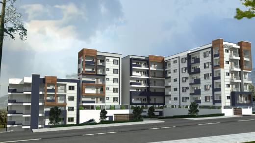 ayi Elevation Elevation